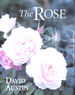 The Rose