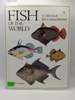 Fish of the World; a Collection of 19th Century Paintings