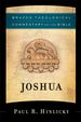 Joshua: (a Theological Bible Commentary From Leading Contemporary Theologians-Btc) (Brazos Theological Commentary on the Bible)