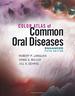 Color Atlas of Common Oral Diseases, Enhanced Edition, Fifth Edition