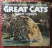 Great Cats Stories and Art From a World Traveller