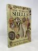 World's Shells: a Guide for Collectors