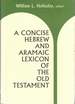 A Concise Hebrew and Aramaic Lexicon of the Old Testament