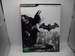 Batman: Arkham City Official Strategy Guide