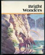 Bright Wonders (Economy Reading Series)