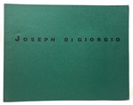 Joseph Digiorgio: Three Exhibitions, Autumn 1988