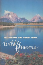 Wildflowers of Yellowstone and Gran Teton National Parks