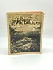 In Search of the Wild Dulcimer