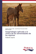 Imaginologia Aplicada a la Clinica de Las Extremidades de Los Equinos