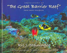 Impressions of the Great Barrier Reef: From Above and Below