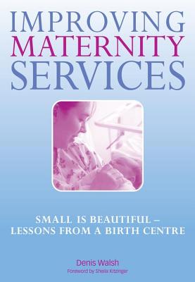 Improving Maternity Services: The Epidemiologically Based Needs Assessment Reviews, Vol 2 - Walsh, Denis, and Kitzinger, Sheila, and Ellis, Norman