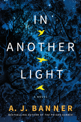 In Another Light - Banner, A J