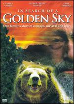 In Search of a Golden Sky - Jef Richard