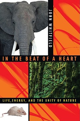 In the Beat of a Heart: Life, Energy, and the Unity of Nature - Whitfield, John