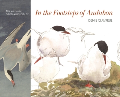 In the Footsteps of Audubon - Sibley, David Allen (Foreword by), and Clavreul, Denis, and Le Cars, Martha (Translated by)