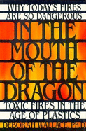 In the Mouth of the Dragon: Toxic Fires in the Age of Plastic