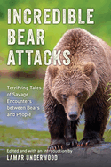 Incredible Bear Attacks