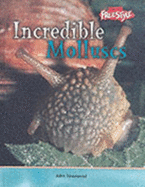 Incredible Creatures: Molluscs