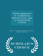 Indices Glossarum Et Vocabularum Hibernicorum, Quae in Grammaticae Celticae