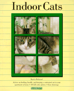 Indoor Cats: Understanding and Caring for Your Indoor Cat