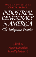 Industrial Democracy in America: The Ambiguous Promise