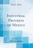 Industrial Progress of Mexico (Classic Reprint)