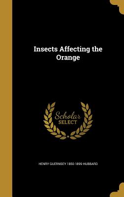 Insects Affecting the Orange - Hubbard, Henry Guernsey 1850-1899