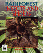 Insects and Spiders - Parker, Edward