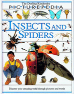 Insects and Spiders