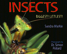 Insects: Biggest! Littlest!