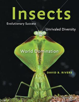 Insects: Evolutionary Success, Unrivaled Diversity, and World Domination - Rivers, David B