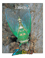 Insects II - Wexo, John B