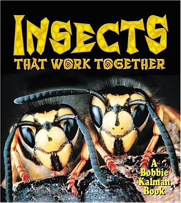 Insects That Work Together - Aloian, Molly, and Kalman, Bobbie