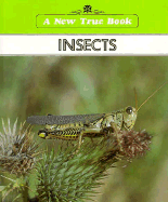 Insects