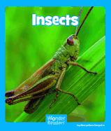 Insects