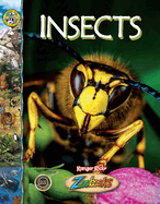 Insects