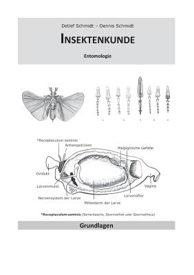 Insektenkunde: Entomologie - Schmidt, Detlef