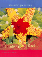 Inside a Coral Reef - Telford, Carole