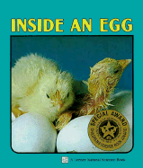 Inside an Egg