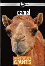 Inside Nature's Giants: Camel - 