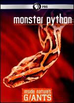 Inside Nature's Giants: Monster Python