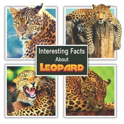 Interesting Facts About Leopard - Mahi, James K