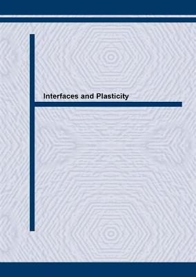 Interfaces and Plasticity - Clement, Nicole (Editor), and Douin, Joel (Editor)