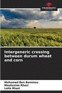 Intergeneric crossing between durum wheat and corn