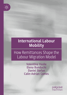 International Labour Mobility: How Remittances Shape the Labour Migration Model