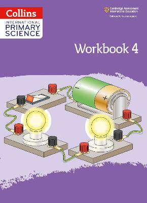 International Primary Science Workbook: Stage 4 - 