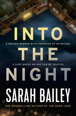 Into the Night - Bailey, Sarah