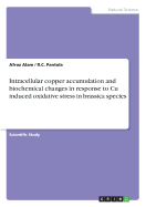 Intracellular Copper Accumulation and Biochemical Changes in Response to Cu Induced Oxidative Stress in Brassica Species