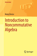 Introduction to Noncommutative Algebra