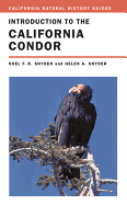 Introduction to the California Condor: Volume 81